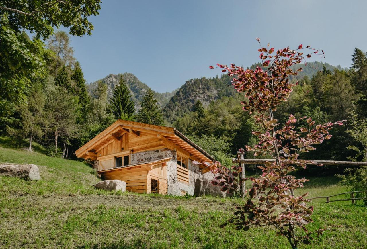 Odomi Maso Nel Bosco Villa Sant'Orsola Bagian luar foto